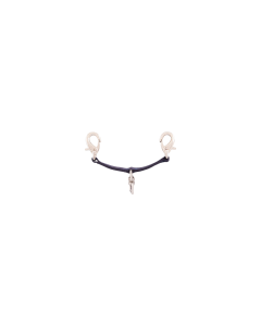 Longierbrille